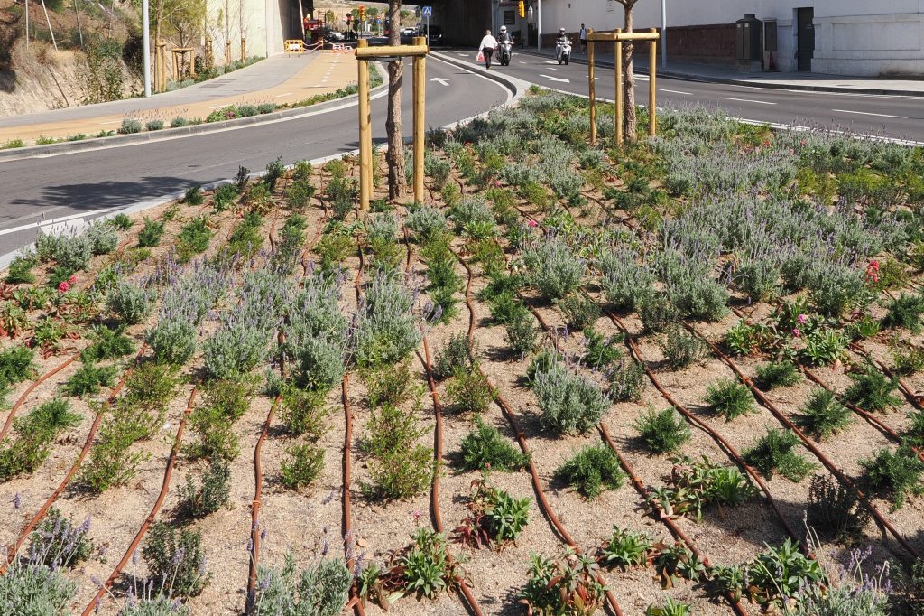 Sistemas Urbanos De Drenaje Sostenible Para Una Gestión Eficiente Y